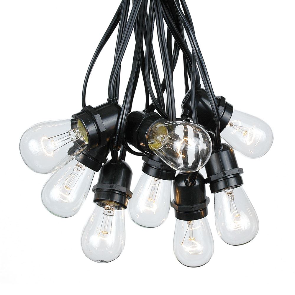 50' Market Lighting Edison Bulbs  www.Raphaels.com - Call to place your rental order today! 858-689-7368 - www.raphaels.com
