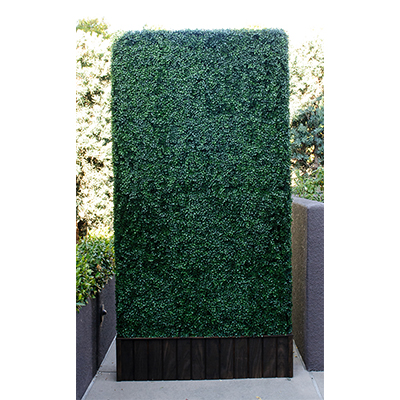 4'x8' Hedge Wall Free standing  www.Raphaels.com - Call to place your rental order today! 858-689-7368 - www.raphaels.com