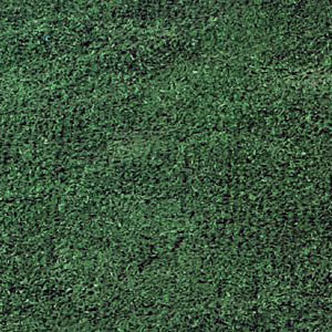 Green Astro Turf (per sq ft)  www.Raphaels.com - Call to place your rental order today! 858-689-7368 - www.raphaels.com